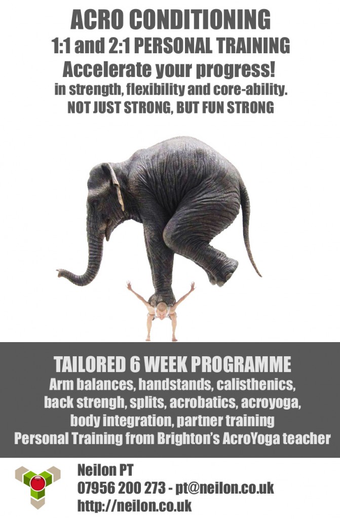 Tailored 6 week conditioning programme to get you Acro Fit. Not just strong, but fun strong